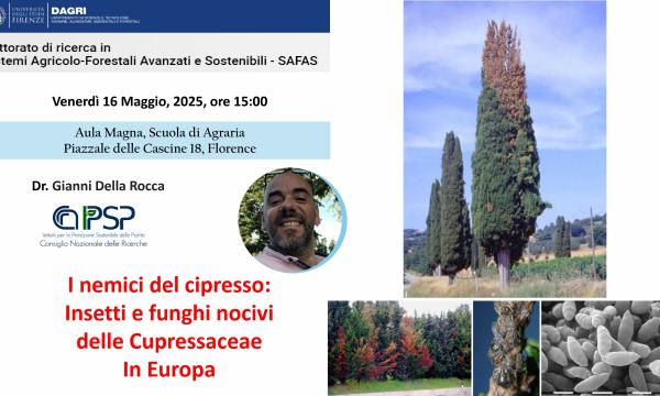 Avviso di seminario.