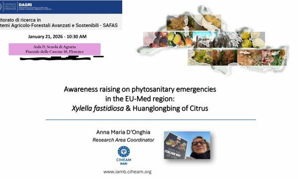 Avviso di seminario.