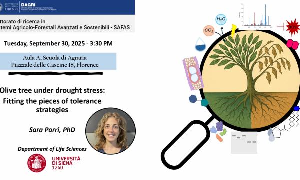 Avviso di seminario.